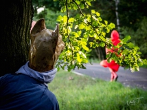 Pohádkové_safari_Chomutov_23